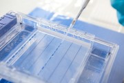 microbiologia-14