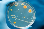 microbiologia-15