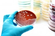 microbiologia-2
