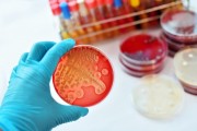microbiologia-3