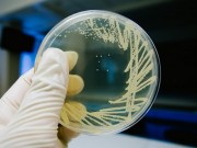 microbiologia-4