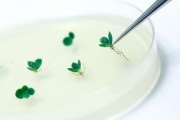 microbiologia-8
