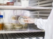 microbiologia