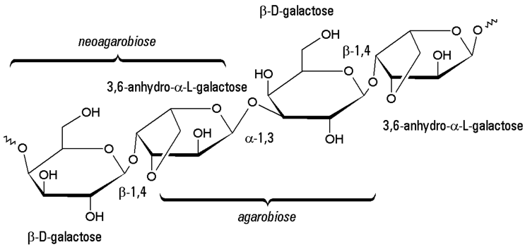 Agar Agar Gélifant Bio Patisdécor Bio